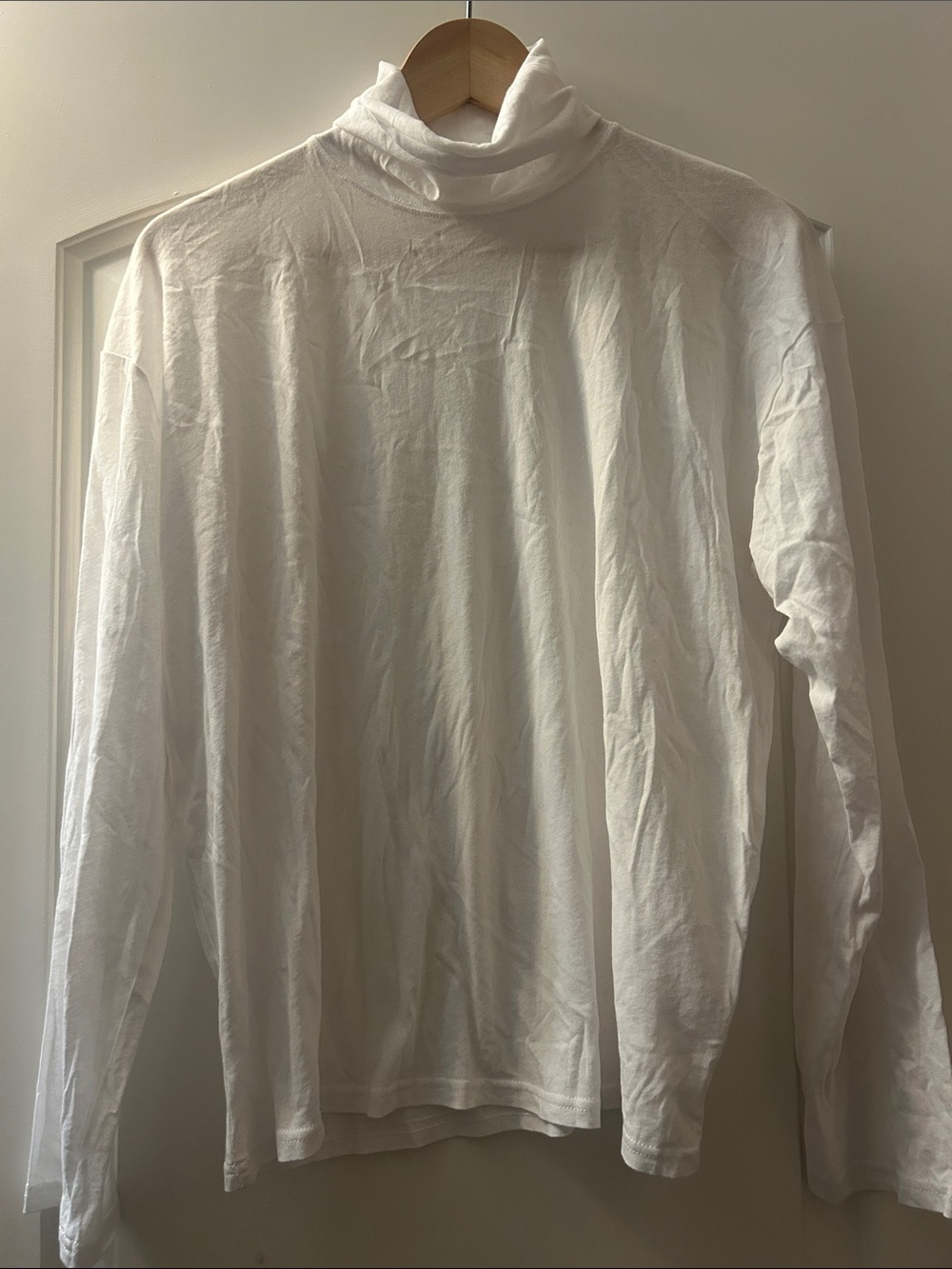 Everlane Lightweight Turtleneck Top